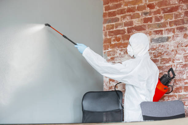 Best Commercial Mold Inspection  in Newport, AR