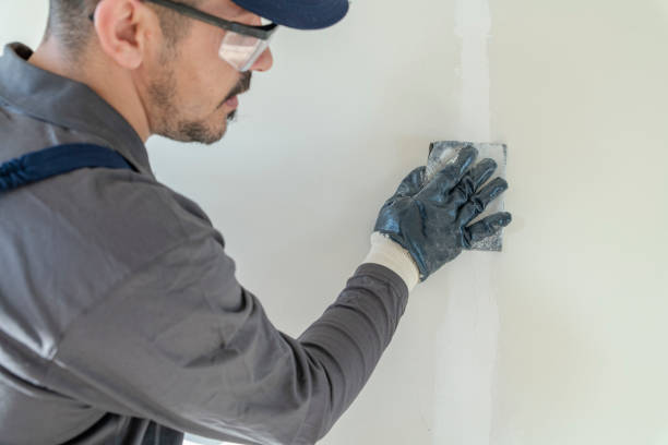 Best Mold Removal for HVAC Installations  in Newport, AR